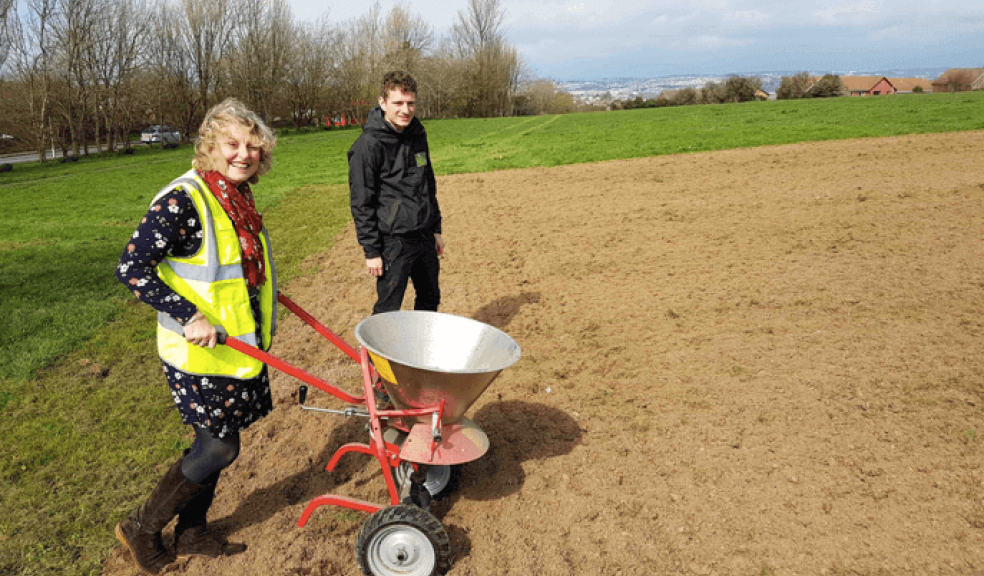 New wildflower meadow locations announced The Devon Daily